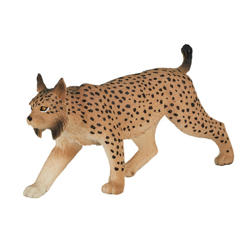 Mojo iberian lynx - lynx, zoo