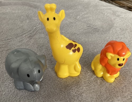 Safari zoo wild animals - ,