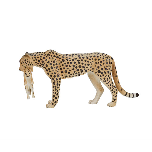 Mojo cheetah cub wild - cheetah,