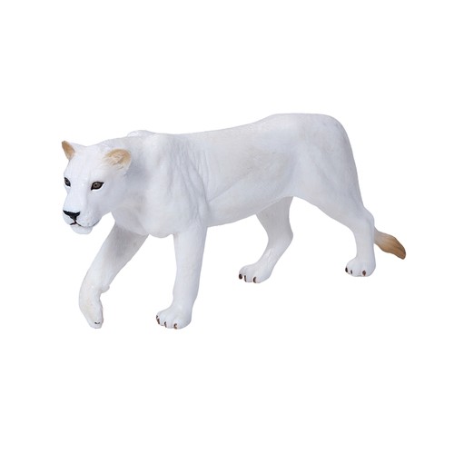 White lioness wild zoo - lioness,