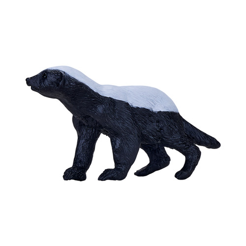 Honey badger wild zoo animals - honey,