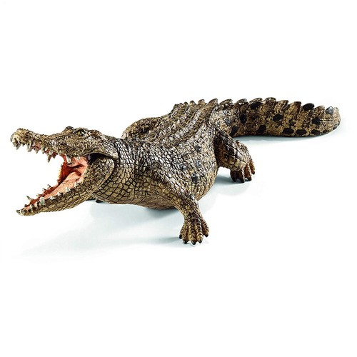 Crocodile model moving - model, jaw