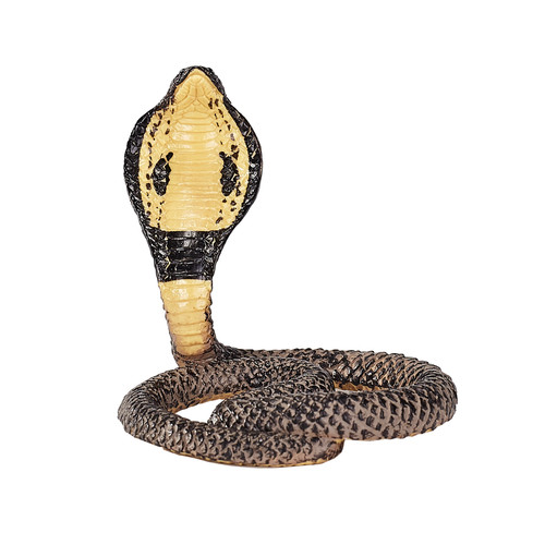 King cobra wild zoo - wild,