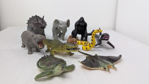 Safari zoo wild animals - zoo, bundle