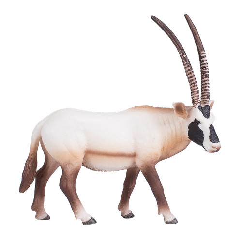 Mojo arabian oryx - oryx, zoo
