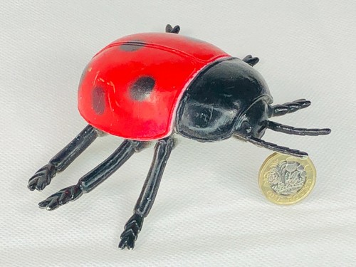 Ladybird lady bird - insect, toy