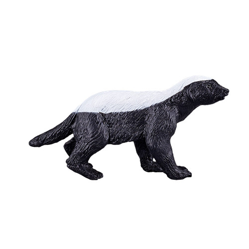 Mojo honey badger - badger, zoo
