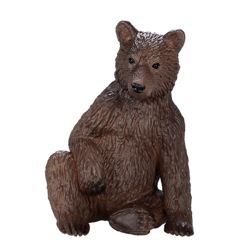 Mojo grizzly bear cub wild - grizzly,