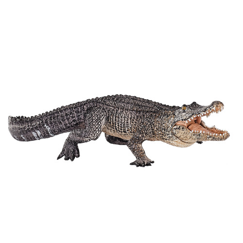 Mojo alligator moving jaw wild - mojo,