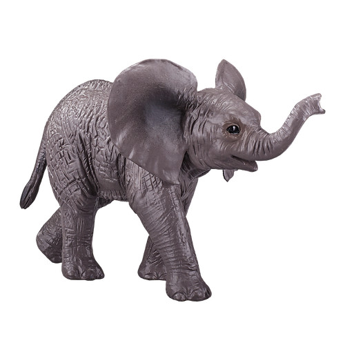 Mojo african elephant calf - mojo,