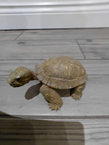 Aaa tortoise figure - tortoise,