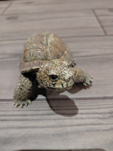 Aaa tortoise figure - figure, toy