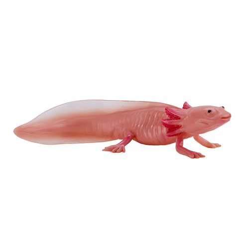 Mojo axolotl wild zoo - mojo,