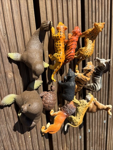 Bundle zoo animal plastic - of,