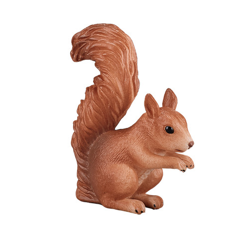 Mojo red squirrel wild zoo - .mojo,
