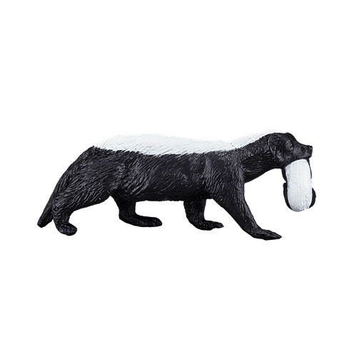 Mojo honey badger cub wild - badger, &