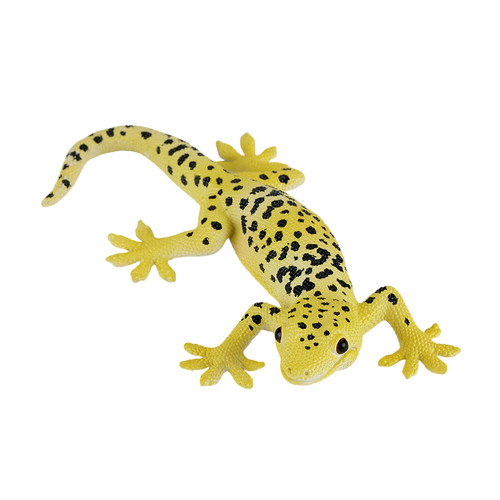 Leopard gecko wild zoo animal - leopard,