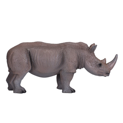 White rhinoceros wild - white, zoo