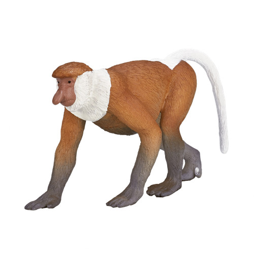 Mojo proboscis monkey - mojo,