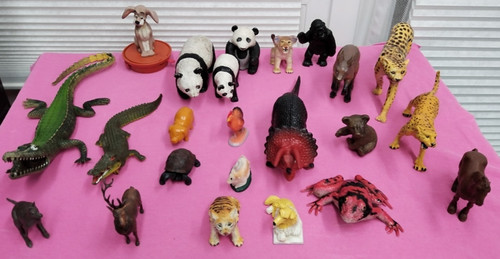 Wildlife animals mixed - wildlife,
