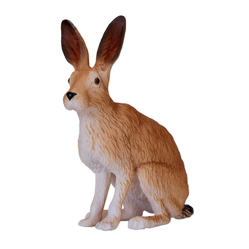 Mojo european hare wild - hare,