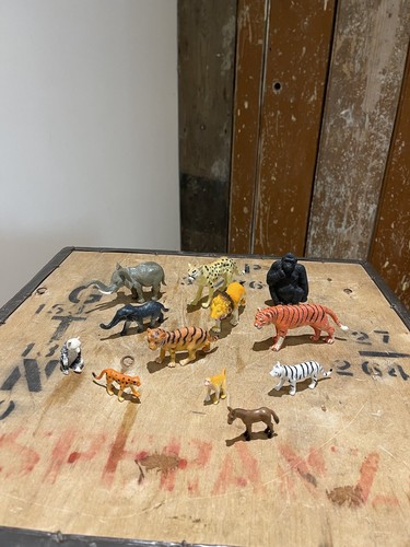 Zoo wild animals mixed - zoo,