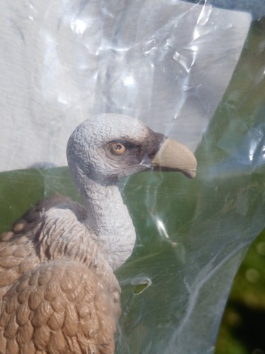Schleich vulture plastic - plastic, toy