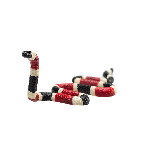 Mojo coral snake - .mojo,