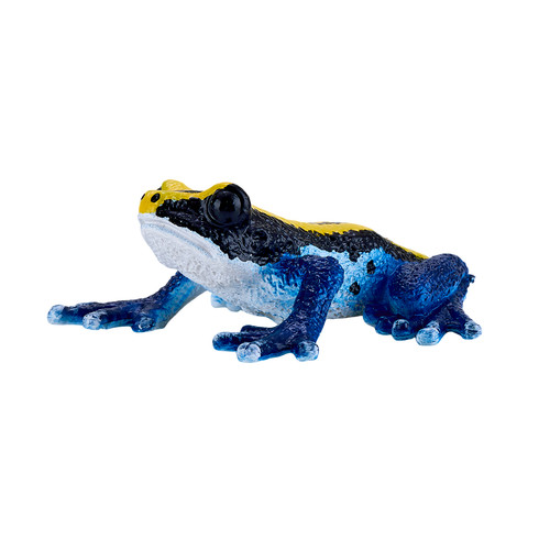 Mojo poison dart frog - dart, blue