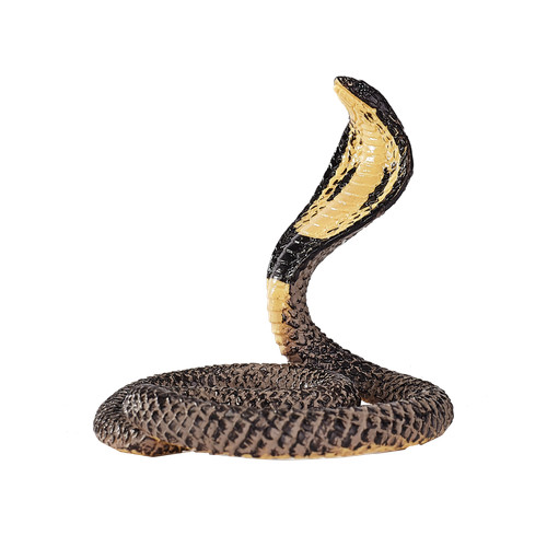 Mojo king cobra wild - king,