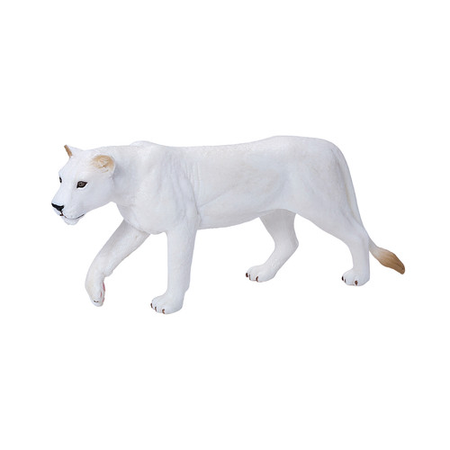 White lioness wild zoo animals - wild,