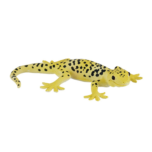 Mojo leopard gecko wild zoo - leopard,