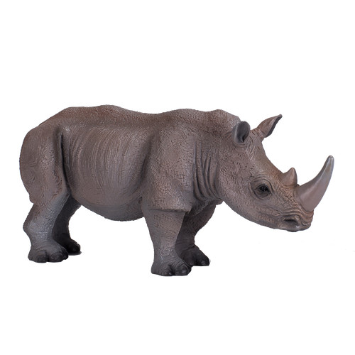Mojo white rhinoceros wild zoo - white,