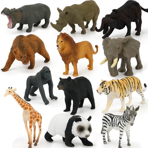 12x animal model - animal,