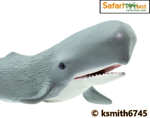 Safari ltd sperm whale - whale, plastic