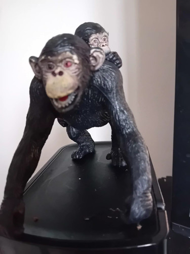 Chimpanzee with baby - with,
