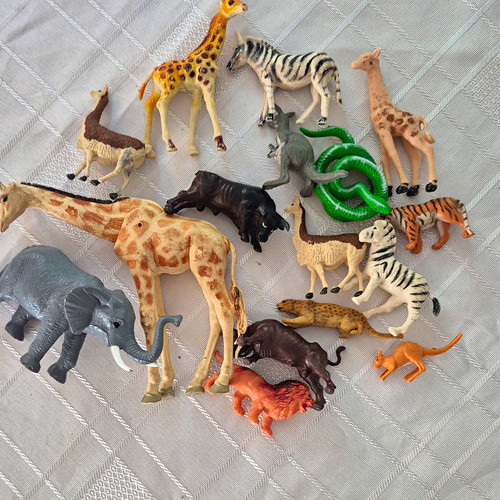 Vintage plastic wild - plastic,
