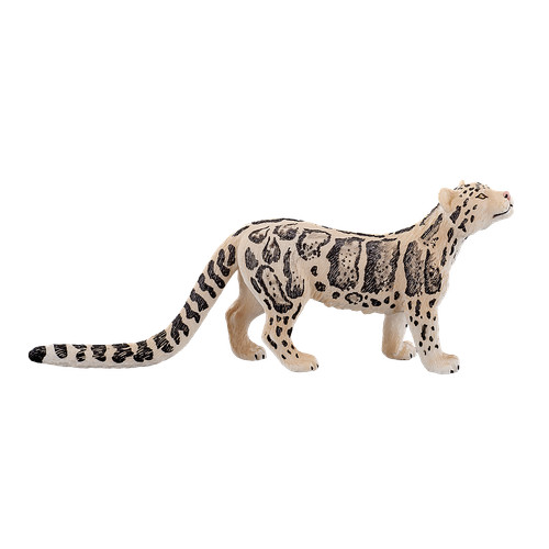 Mojo clouded leopard wild zoo - .mojo,