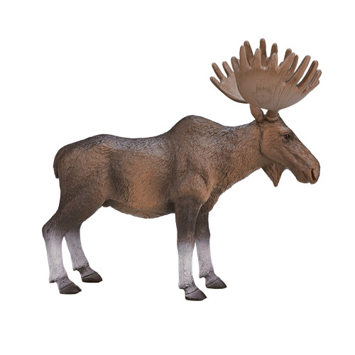 Mojo european moose elk - mojo,