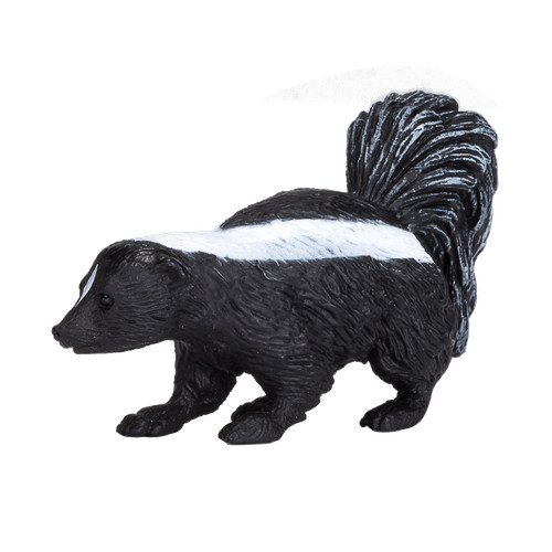 Mojo skunk wild - zoo, animals