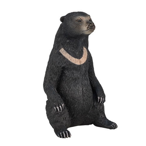 Mojo sun bear wild - bear, animals