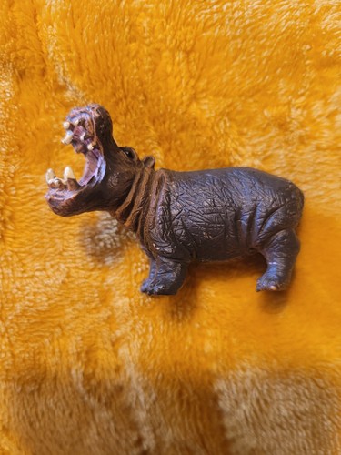 Angry hippo retired - retired, africa