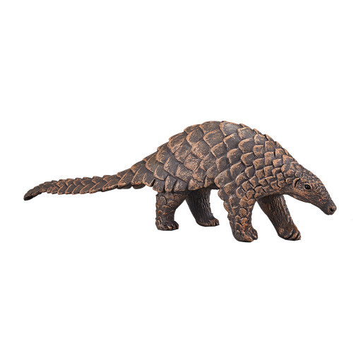 Mojo indian pangolin wild zoo - indian,