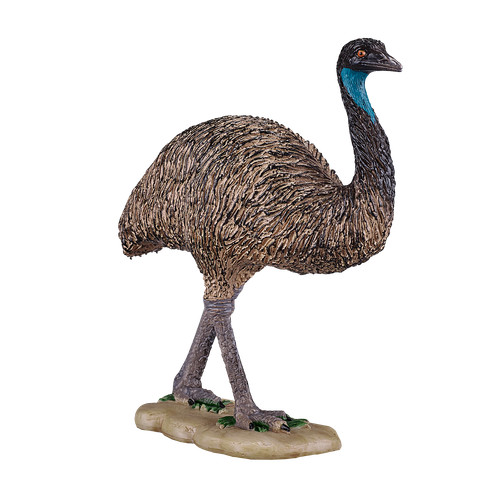 Mojo emu wild - wild, animals