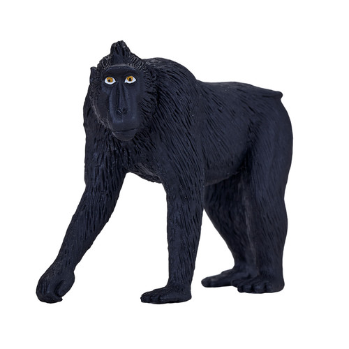Mojo black crested - crested, macaque
