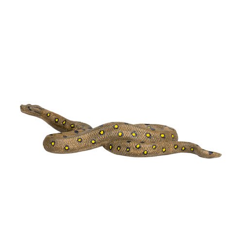 Green anaconda wild - wild, zoo