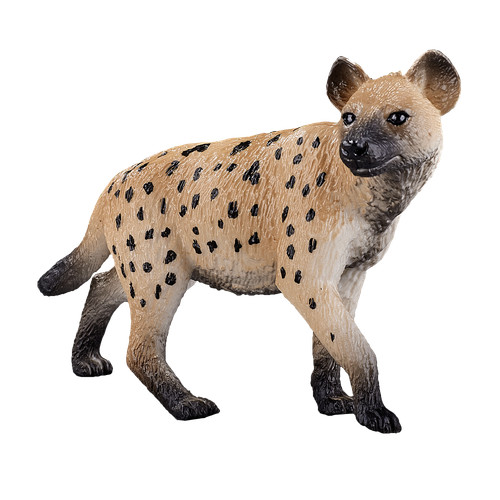 Mojo hyena wild zoo - hyena,