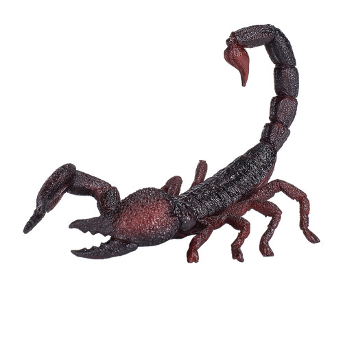 Mojo emperor scorpion wild - mojo,
